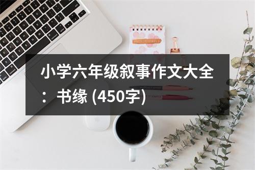 小學六年級敘事作文大全：書緣 (450字)