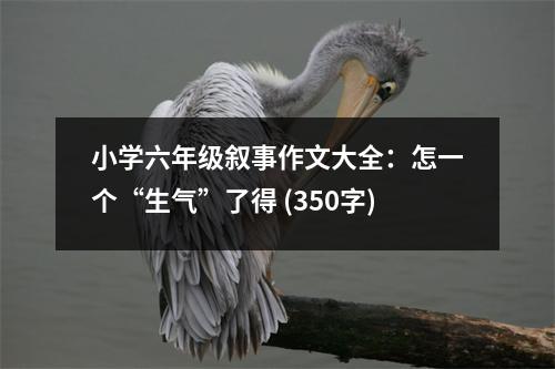 小學六年級敘事作文大全：怎一個“生氣”了得 (350字)