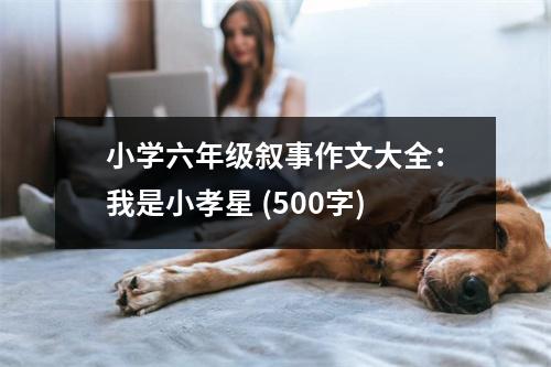 小學六年級敘事作文大全：我是小孝星 (500字)