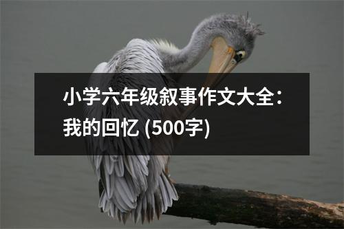 小學(xué)六年級(jí)敘事作文大全：我的回憶 (500字)