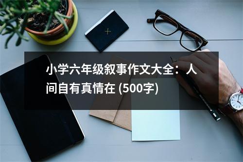 小學(xué)六年級(jí)敘事作文大全：人間自有真情在 (500字)