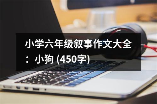 小學(xué)六年級(jí)敘事作文大全：小狗 (450字)