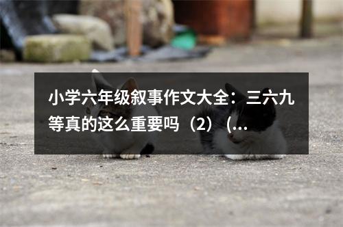 小學(xué)六年級(jí)敘事作文大全：三六九等真的這么重要嗎（2） (500字)
