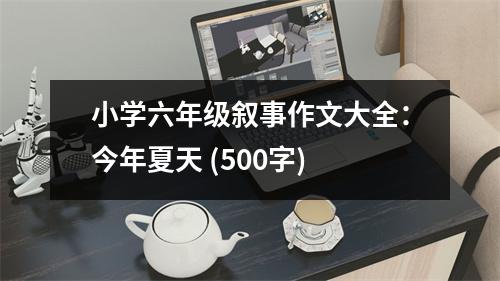小學(xué)六年級敘事作文大全：今年夏天 (500字)