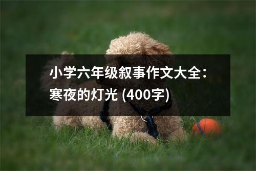 小學(xué)六年級(jí)敘事作文大全：寒夜的燈光 (400字)