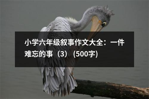 小學六年級敘事作文大全：一件難忘的事（3） (500字)