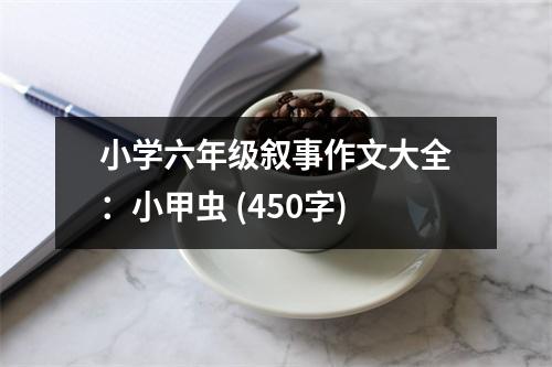 小學(xué)六年級敘事作文大全：小甲蟲 (450字)