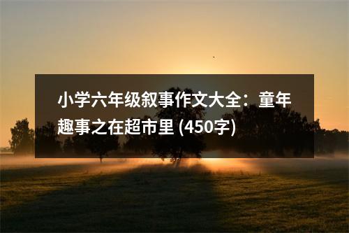 小學(xué)六年級(jí)敘事作文大全：童年趣事之在超市里 (450字)