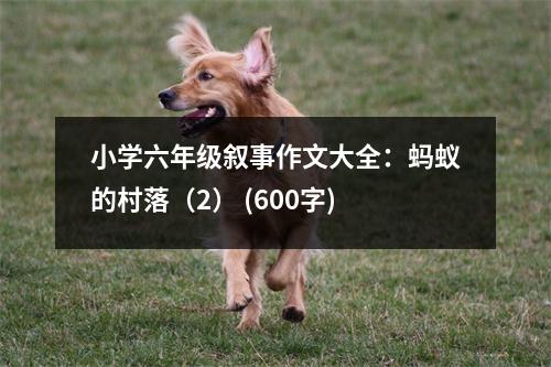 小學(xué)六年級(jí)敘事作文大全：螞蟻的村落（2） (600字)