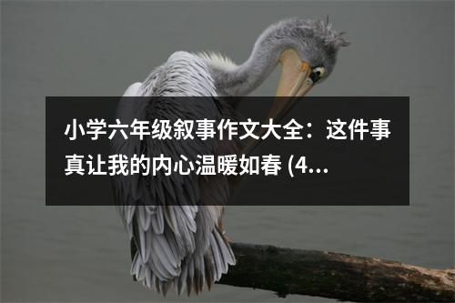 小學(xué)六年級(jí)敘事作文大全：這件事真讓我的內(nèi)心溫暖如春 (400字)