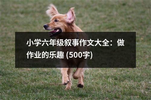 小學(xué)六年級敘事作文大全：做作業(yè)的樂趣 (500字)