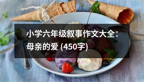 小學(xué)六年級敘事作文大全：母親的愛 (450字)