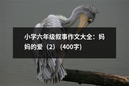 小學(xué)六年級(jí)敘事作文大全：媽媽的愛（2） (400字)