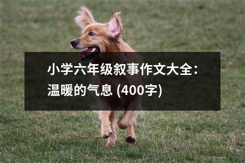 小學(xué)六年級敘事作文大全：溫暖的氣息 (400字)