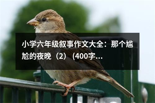 小學(xué)六年級敘事作文大全：那個尷尬的夜晚（2） (400字)