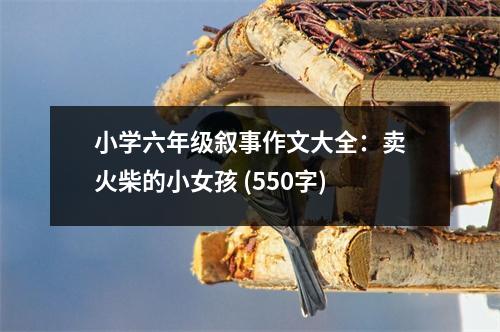 小學六年級敘事作文大全：賣火柴的小女孩 (550字)