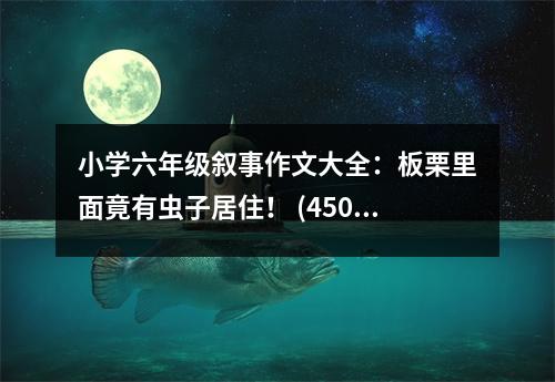 小學(xué)六年級(jí)敘事作文大全：板栗里面竟有蟲(chóng)子居住！ (450字)