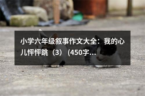 小學(xué)六年級(jí)敘事作文大全：我的心兒怦怦跳（3） (450字)