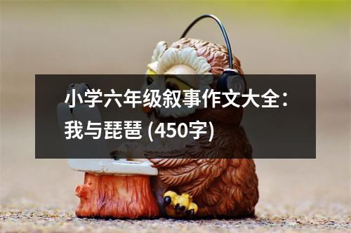 小學(xué)六年級(jí)敘事作文大全：我與琵琶 (450字)