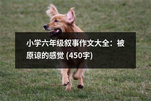 小學(xué)六年級(jí)敘事作文大全：被原諒的感覺(jué) (450字)