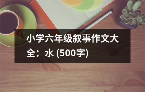 小學(xué)六年級(jí)敘事作文大全：水 (500字)