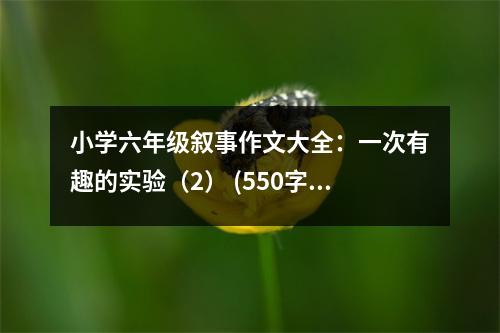 小學六年級敘事作文大全：一次有趣的實驗（2） (550字)