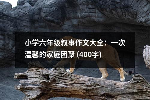 小學六年級敘事作文大全：一次溫馨的家庭團聚 (400字)