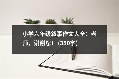 小學六年級敘事作文大全：老師，謝謝您！ (350字)
