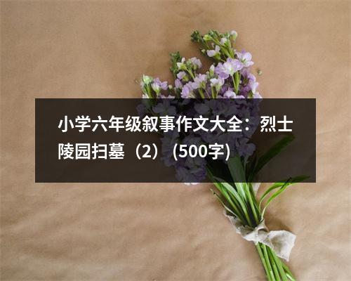 小學(xué)六年級(jí)敘事作文大全：烈士陵園掃墓（2） (500字)