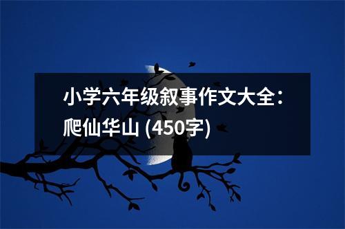小學(xué)六年級敘事作文大全：爬仙華山 (450字)