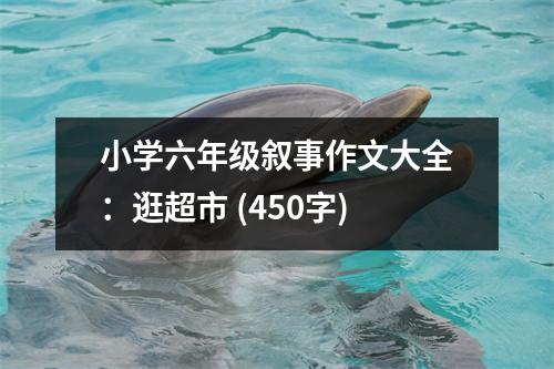 小學(xué)六年級(jí)敘事作文大全：逛超市 (450字)