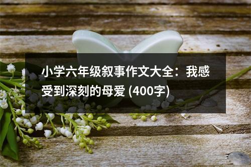 小學六年級敘事作文大全：我感受到深刻的母愛 (400字)