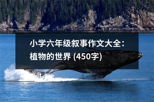 小學(xué)六年級(jí)敘事作文大全：植物的世界 (450字)