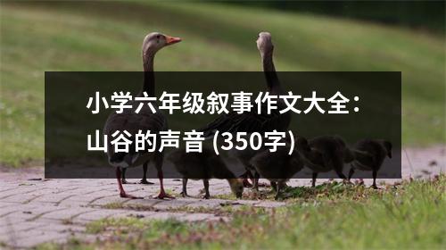 小學(xué)六年級敘事作文大全：山谷的聲音 (350字)
