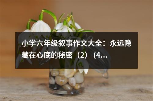 小學(xué)六年級(jí)敘事作文大全：永遠(yuǎn)隱藏在心底的秘密（2） (450字)