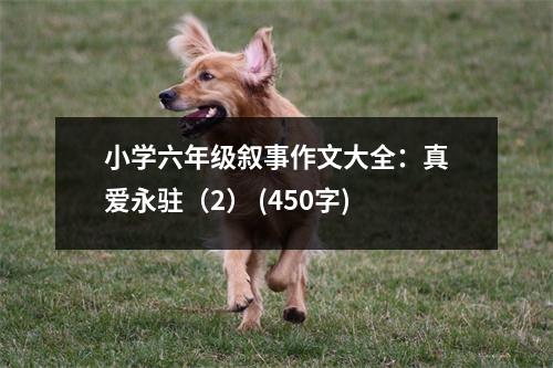 小學(xué)六年級敘事作文大全：真愛永駐（2） (450字)