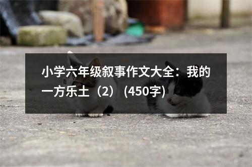 小學(xué)六年級(jí)敘事作文大全：我的一方樂(lè)土（2） (450字)