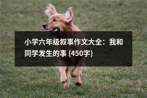 小學(xué)六年級(jí)敘事作文大全：我和同學(xué)發(fā)生的事 (450字)