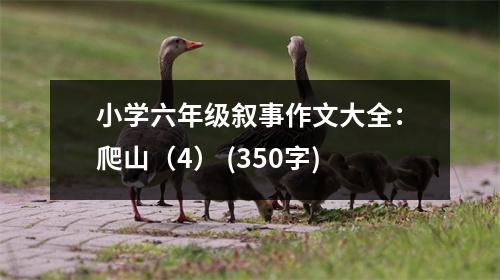 小學(xué)六年級敘事作文大全：爬山（4） (350字)