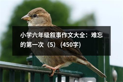 小學六年級敘事作文大全：難忘的第一次（5） (450字)