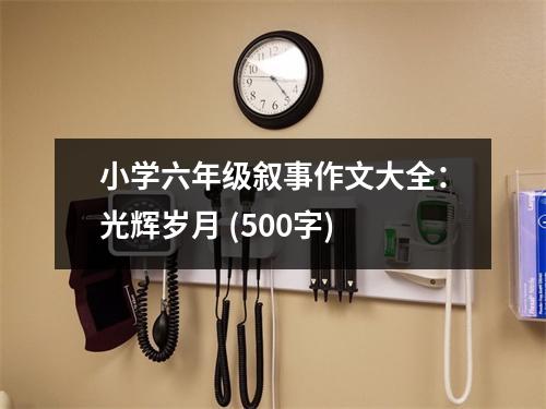 小學(xué)六年級敘事作文大全：光輝歲月 (500字)