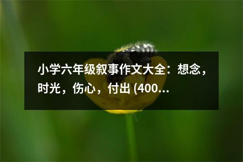 小學(xué)六年級敘事作文大全：想念，時光，傷心，付出 (400字)