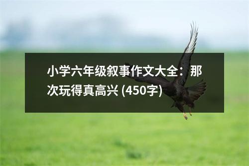 小學(xué)六年級敘事作文大全：那次玩得真高興 (450字)