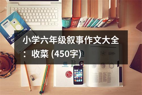 小學(xué)六年級敘事作文大全：收菜 (450字)
