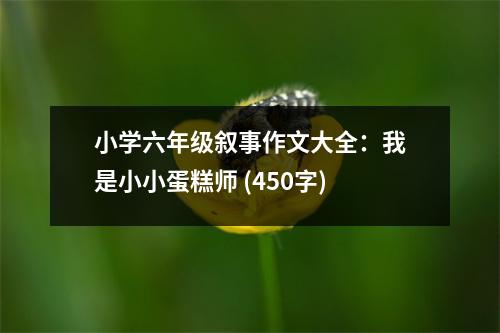 小學六年級敘事作文大全：我是小小蛋糕師 (450字)