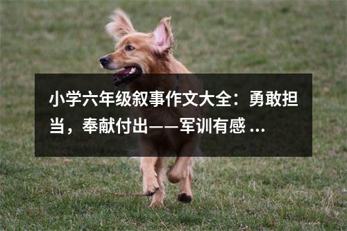 小學(xué)六年級敘事作文大全：勇敢擔(dān)當(dāng)，奉獻付出——軍訓(xùn)有感 (450字)