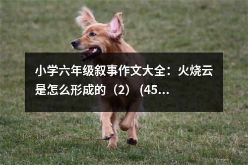 小學(xué)六年級(jí)敘事作文大全：火燒云是怎么形成的（2） (450字)