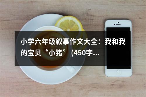 小學六年級敘事作文大全：我和我的寶貝“小豬” (450字)