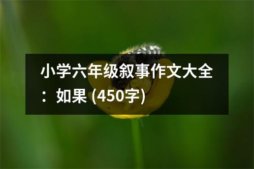 小學(xué)六年級敘事作文大全：如果 (450字)