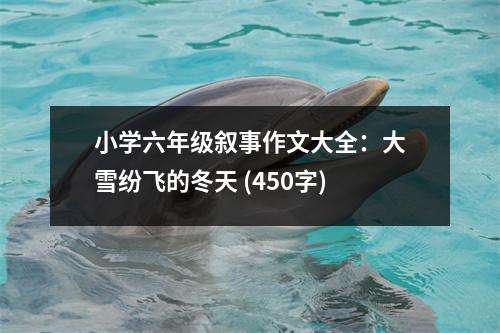 小學(xué)六年級敘事作文大全：大雪紛飛的冬天 (450字)